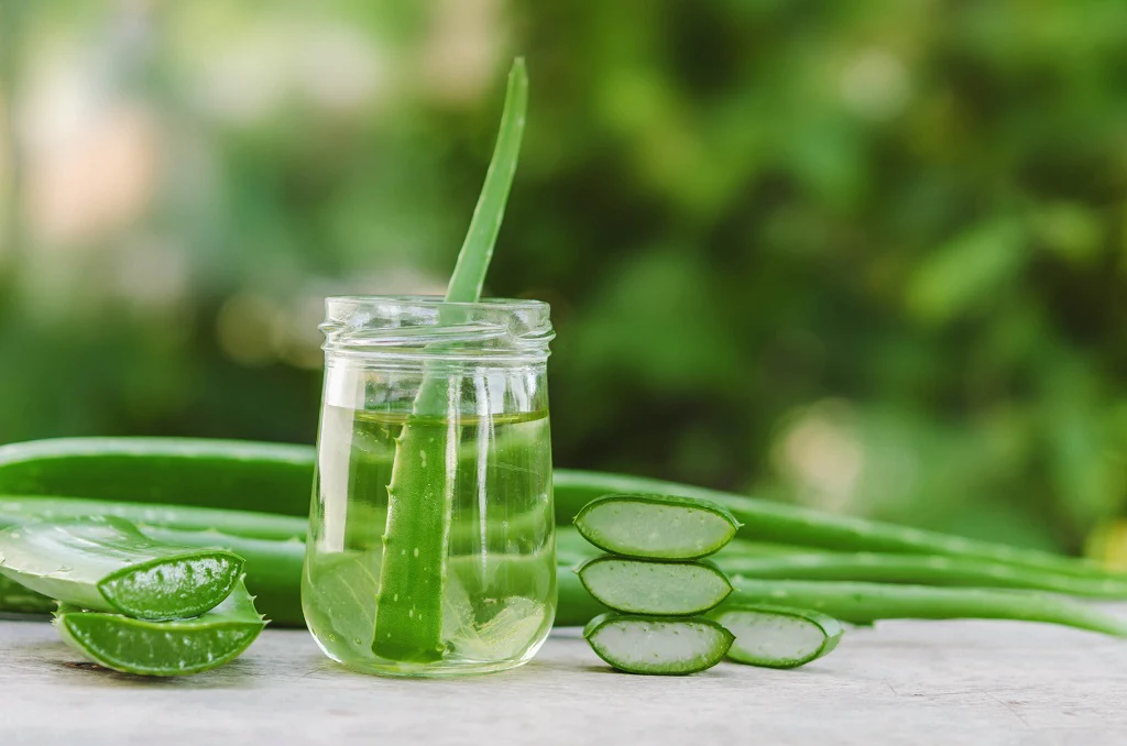 Benefits of Aloe vera